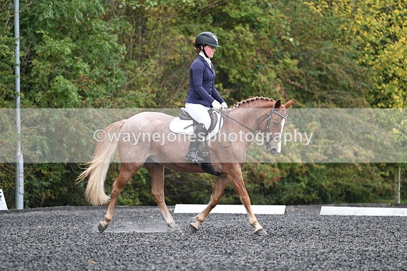 WJ7_3300 - Time 09:54 to 10:54