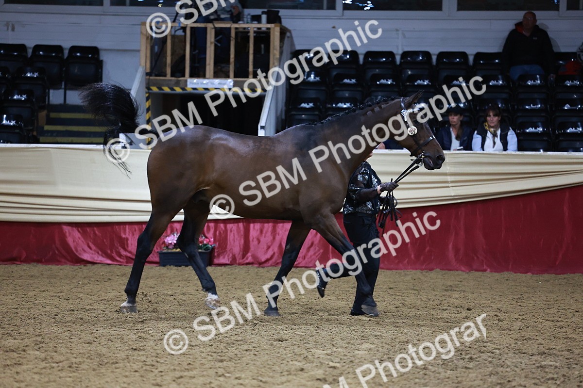 SBM_20634 - Class I - Ridden Pony Champ