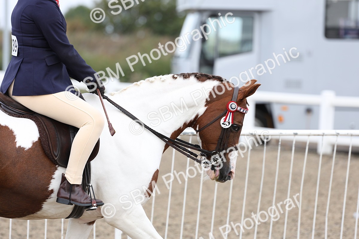 SBM_01468 - Class 52 - Ridden Veteran