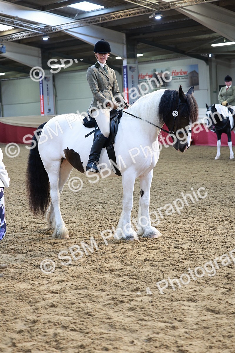 SBM_11951 - Class 102 - Equitation (Best Rider) Adult