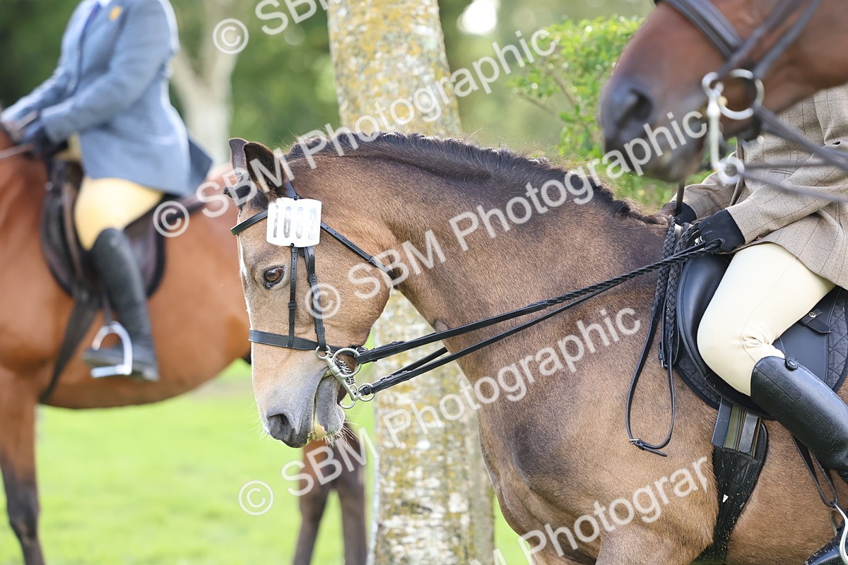 SBM_47747 - S28 - Veteran Ridden