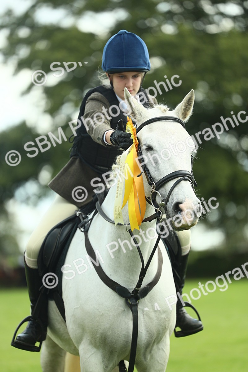 SBM_42236 - S29 - Novice & Newcomers Working Hunter Pony
