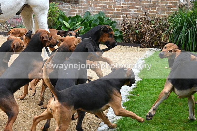 WJ7_6130 - Berks & Bucks - Children's Meet - The Old Farmhouse – Steventon.