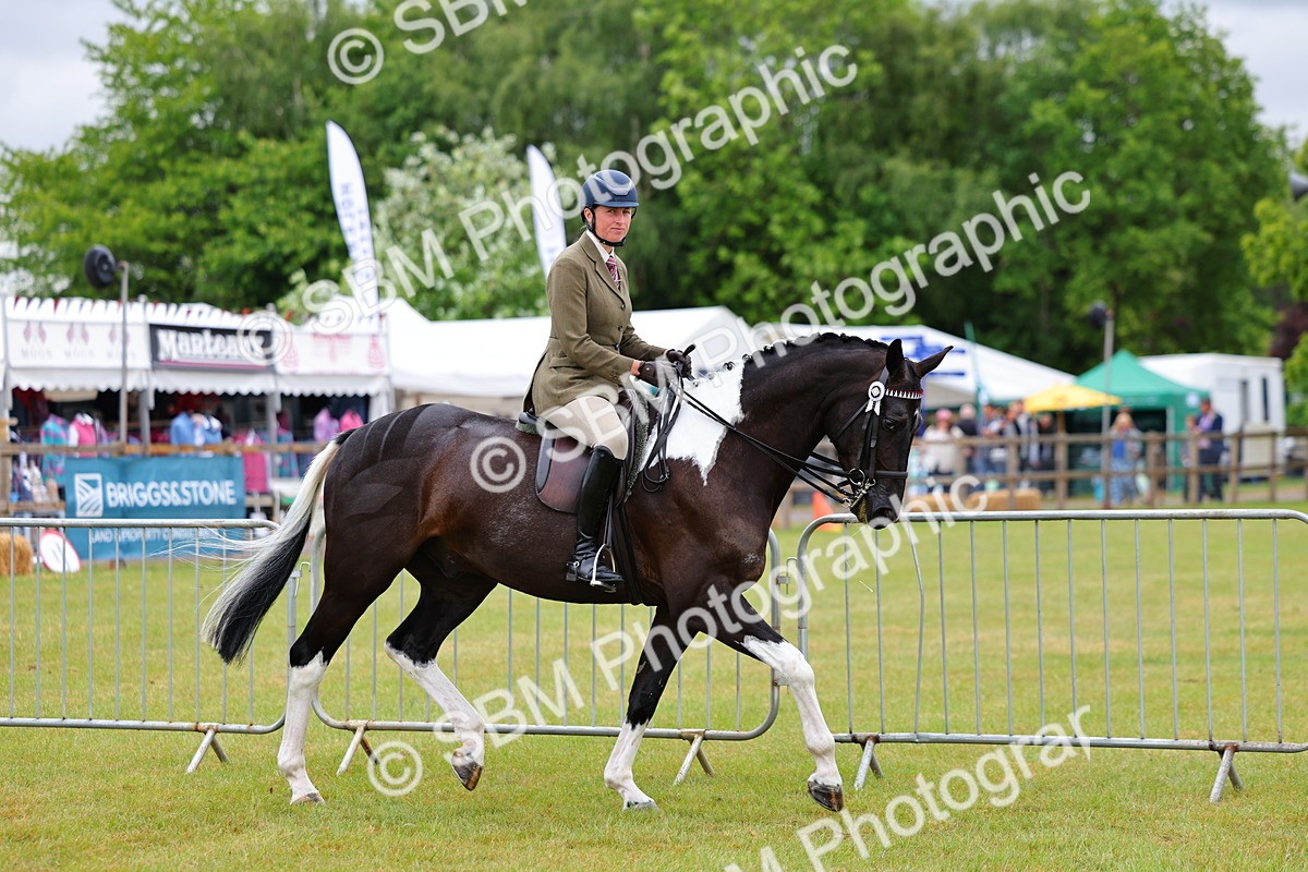 SBM_02485 - Class 9-11 Side Saddle including LIHS Rising Star Ladies Show Horse