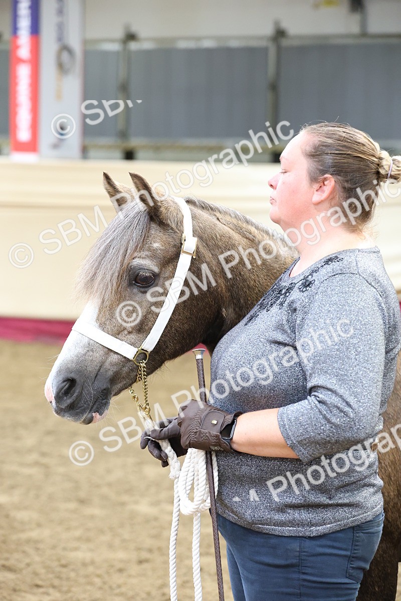 SBM_22480 - Class 902 - Supreme Final - IH Diamond