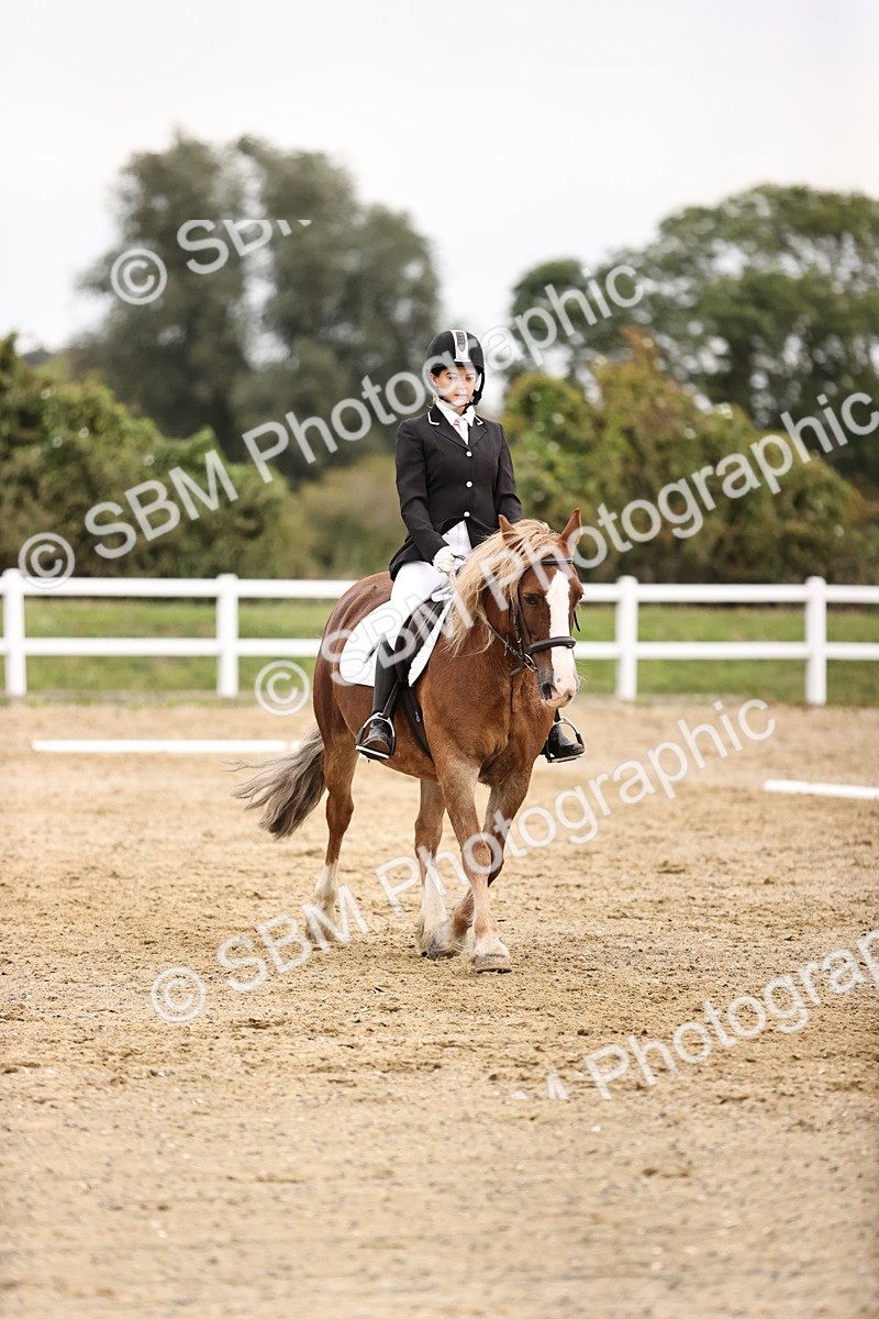 SBM_002734 - Prelim 1