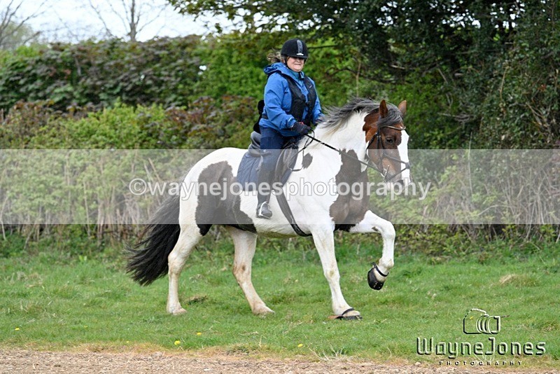 WJ7_3571 - Edited examples