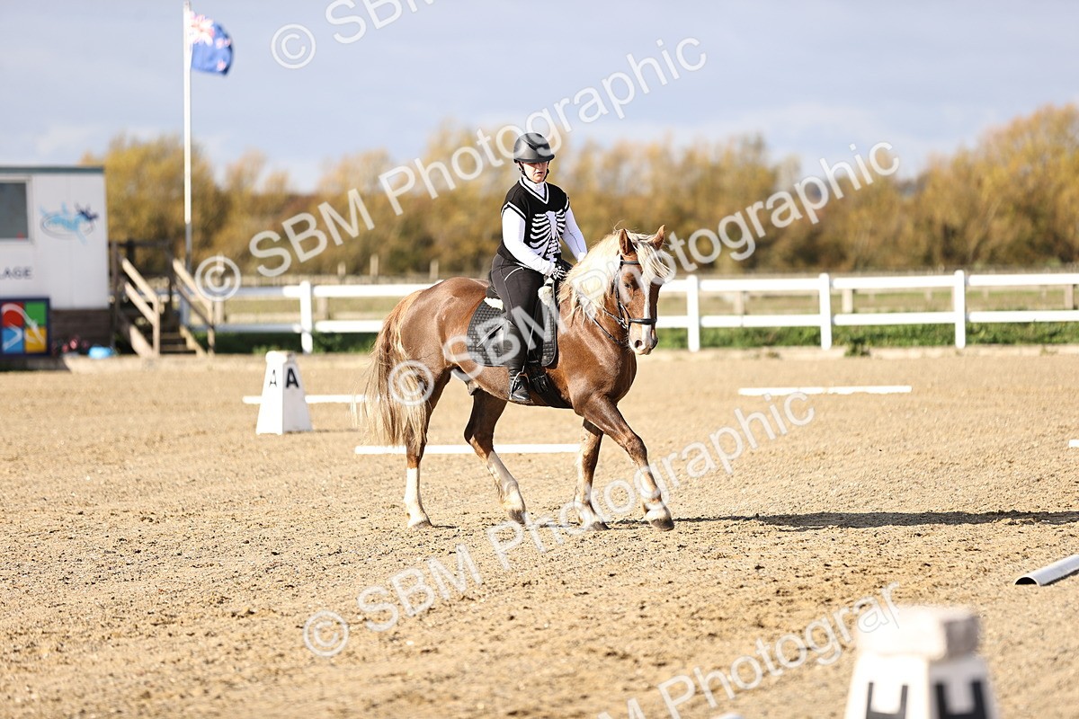 SBM_001313 - Class 2-4 - Intro 1 Intro 3