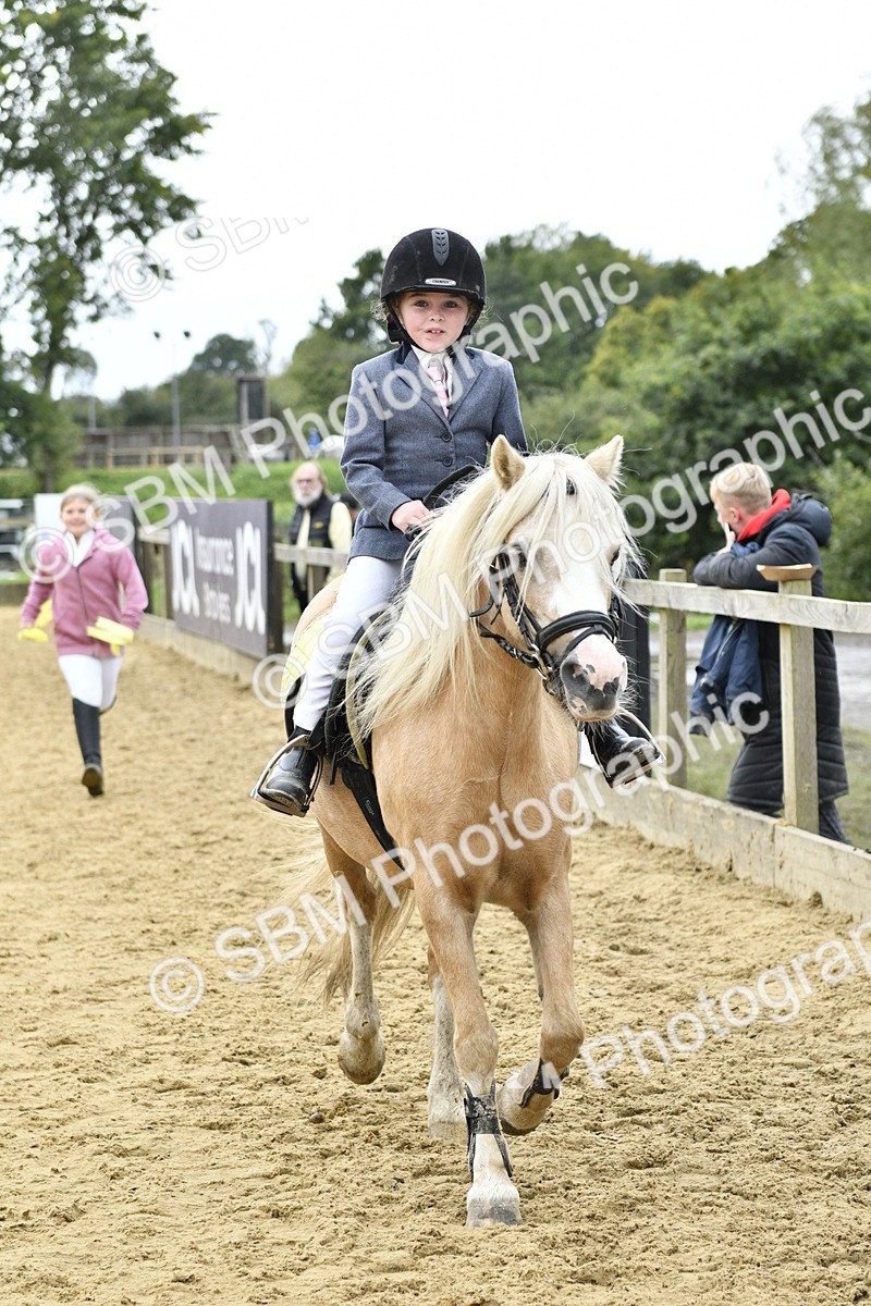 SBM_66240 - J2a mini Tour Junior Pony 30cm Championship