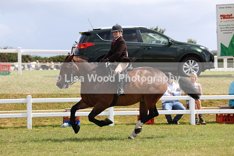 3E7A9776 - Class 5: Rising Star Lightweight/Heavyweight Cobs