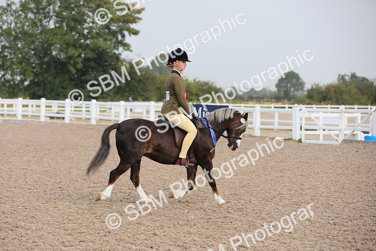 SBM_09695 - Class 301 Ridden M&M -Small Breeds