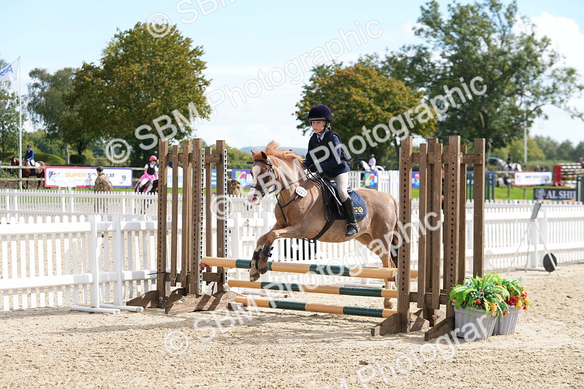 SBM_44336 - J7 - Junior Pony 60cm Championship