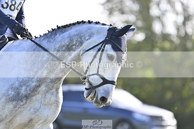 241025-140033-09569 - 384-Kerri.Mcnicol-CALGARY