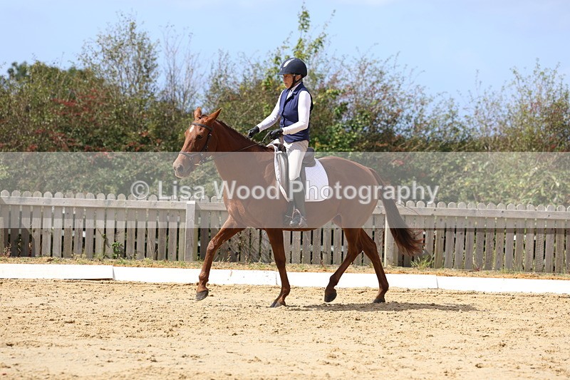 3E7A3990 - Class 9: Novice 6 Section B Championship