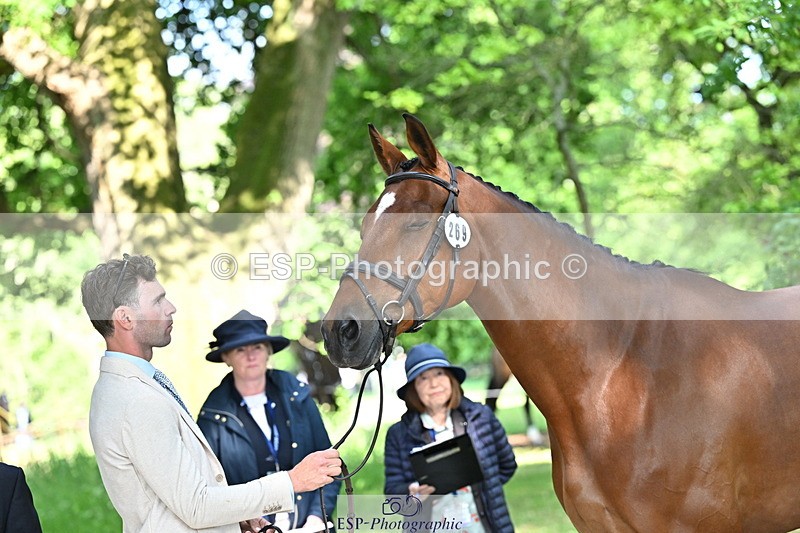 250521A-165102-01378 - C-269-Tom.Grant-NEW.NINI