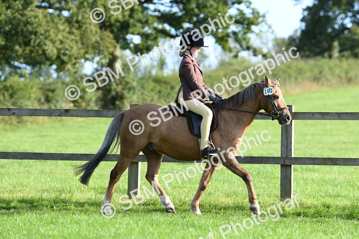 SBM_53984 - S23 - 1st Ridden Mountain & Moorland Pony