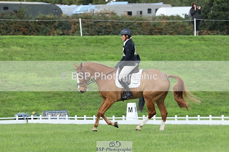 251023A-105007-03240 - D-310-Emily.R.Vincent