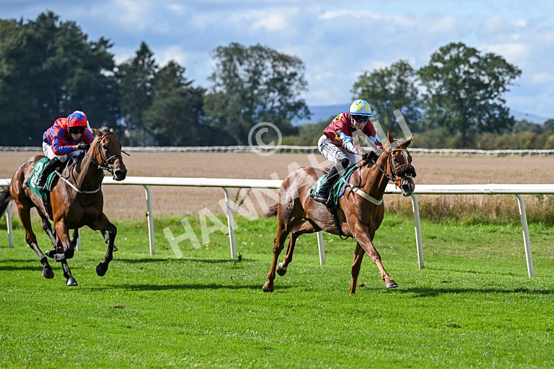 140926-Race 1-Satyress-6611 - Race 1 2.21pm Constant Security Services Apprentice Handicap