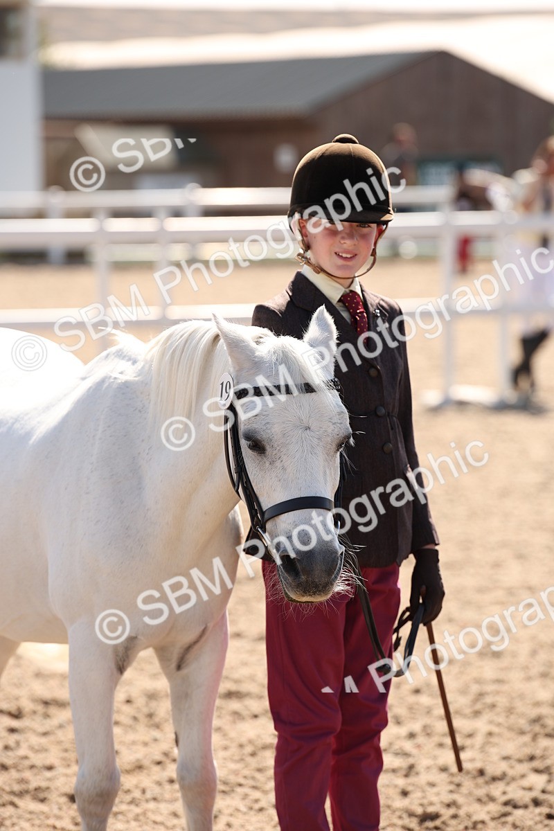 SBM_02799 - Class 16 IH M&M Wildcard