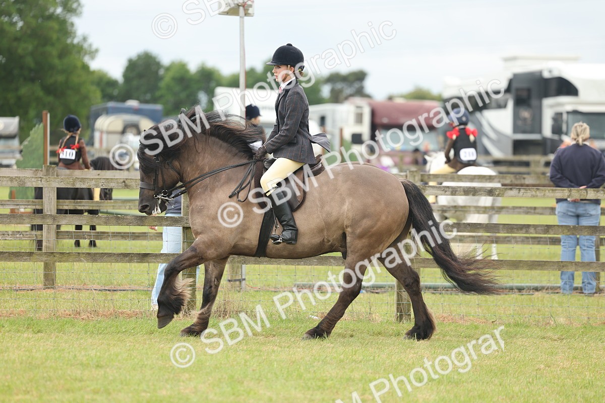 SBM_08976 - Class 78-80 - Ridden M&M Non Welsh Ponies