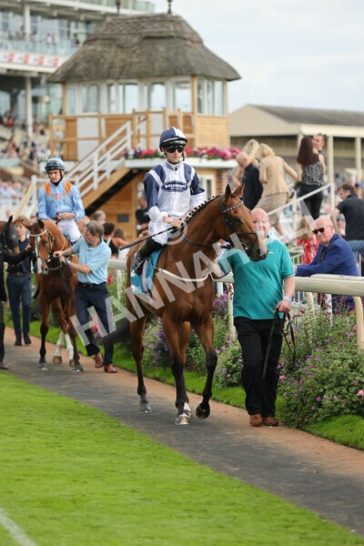 yr04092022r7-11 - Race 7 5.15pm Firmament Stakes