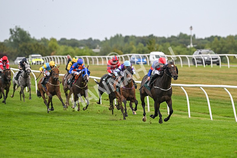 270825-Race 3-Quercus-5010 - Race 3