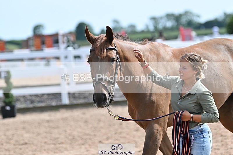 240717A-160706-03317 - Trot Up 4pm to 5pm