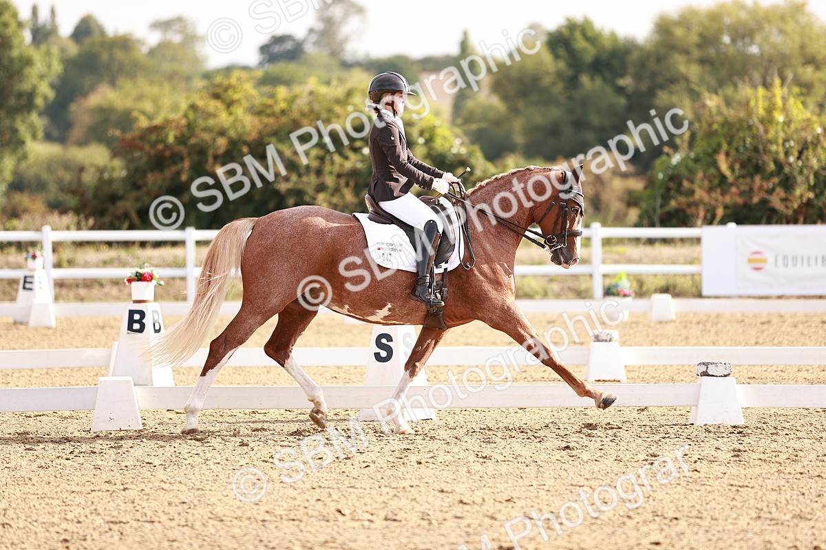 SBM_016855 - Class 10 - Medium 6