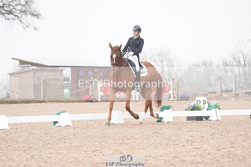 250404-094938-04127 - 009-Sarah.Stewart-Djoe.Dimaggio