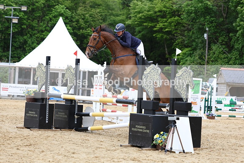 3E7A6308 - Class 4: Senior British Novice/90cm open