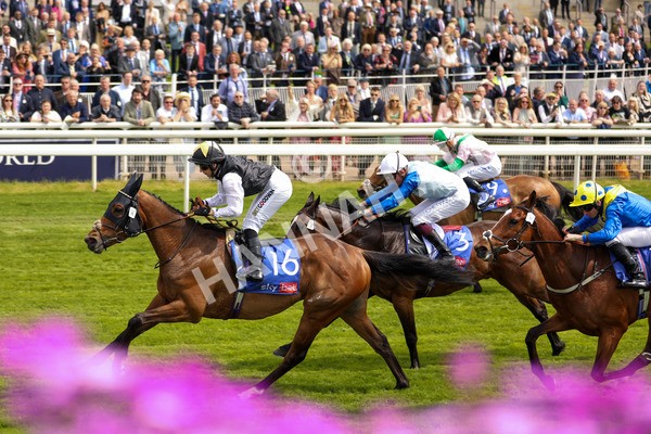 170523-Race 1-Scampi-6835 - Race 1 1.50pm Sky Bet Race To The Ebor Jorvik Handicap
