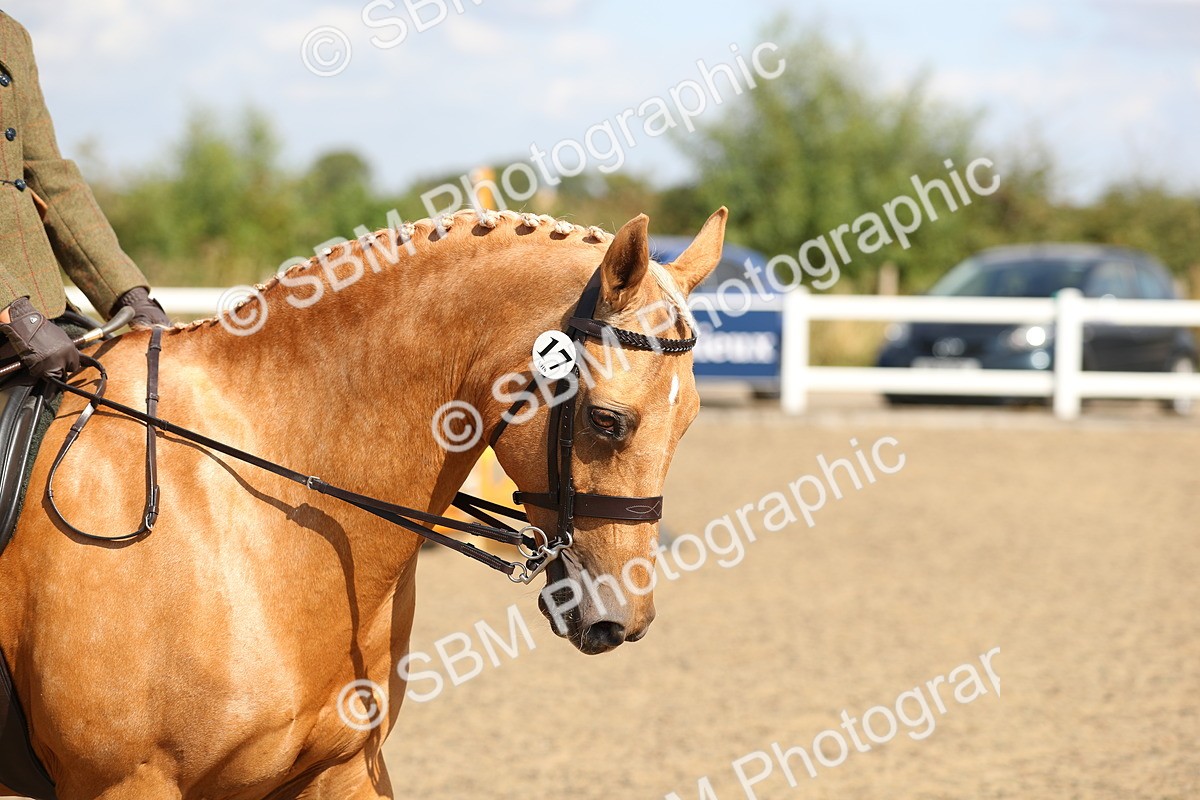 SBM_03316 - Class 45 Clear Round Jumping