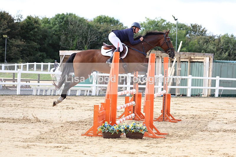 3E7A2136 - Class 4: Senior British Novice/90cm open