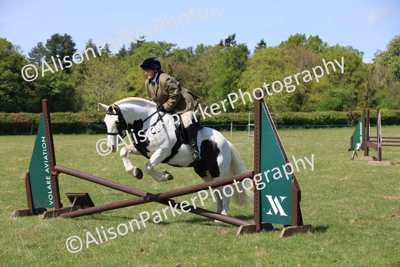 20250427-2569 - Class 20 - Working Hunter Ponies