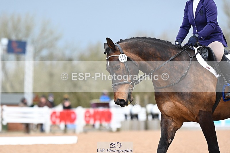 240323A-124129-02876 - DR Novice 34