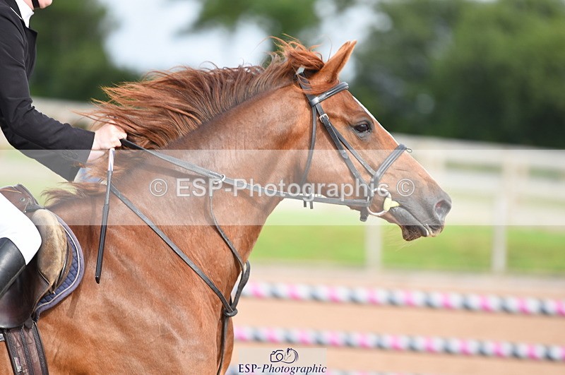 230711A-174458-00338 - 80cm