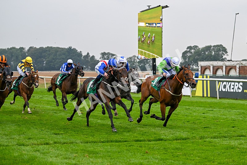 070924-Race 4-Kings Merchant-7560 - Race 4