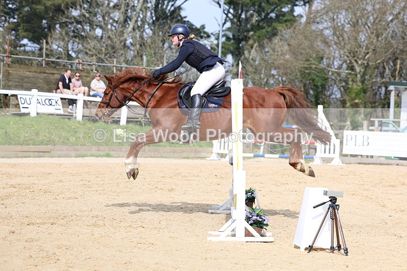 3E7A6877 - Class 4: Senior British Novice/90cm open