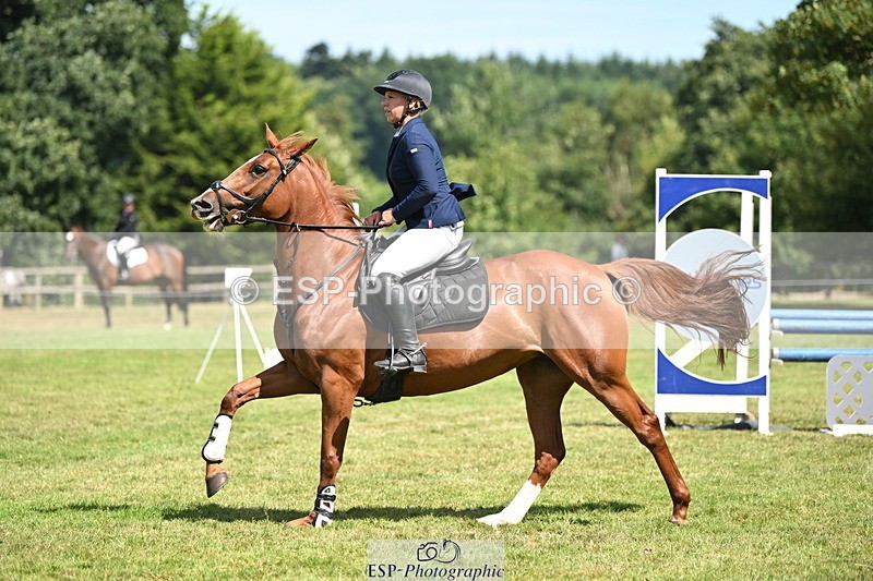 250704A-105500-07100 - Cls 25 Snr British Novice and 90cm