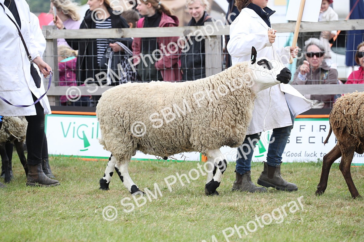 SBM_07781 - Grand Parade