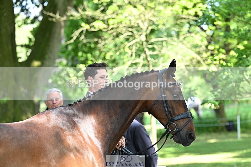 250521A-154149-00699 - B-351-Will.Rawlin-MACKENZY