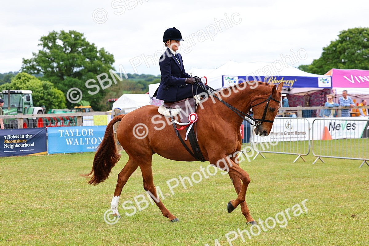 SBM_02789 - Class 9-11 Side Saddle including LIHS Rising Star Ladies Show Horse