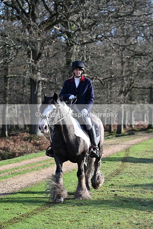 WJ7_7830 - Line 3 (no line 4 or 5)