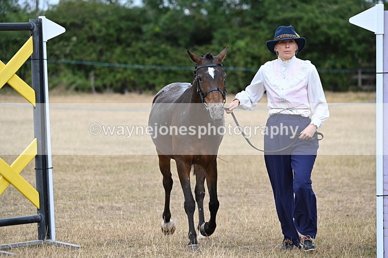 WJ6_8058 - Class 10 Coloured in Hand