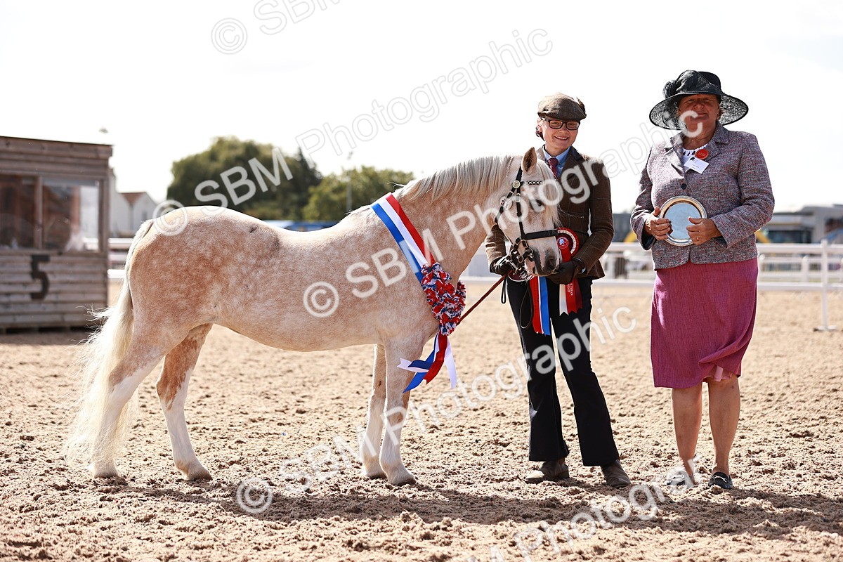 SBM_22919 - Class 706 - IH Veteran