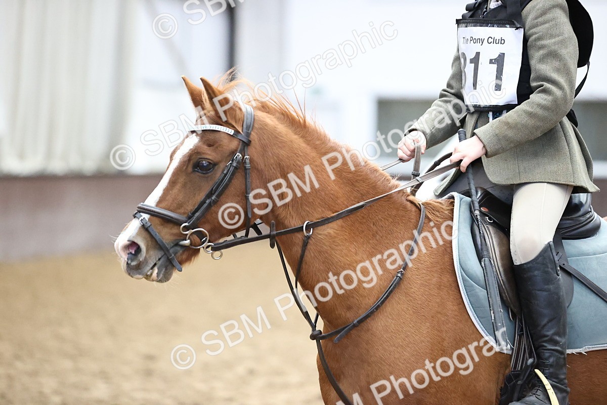 SBM_001616 - Class 5 - Henlow Veterinary Hospital - 70cm Area 12 Championship Qualifier