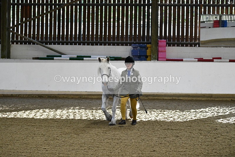 WJ5_3549 - Class 5 In Hand Veterans