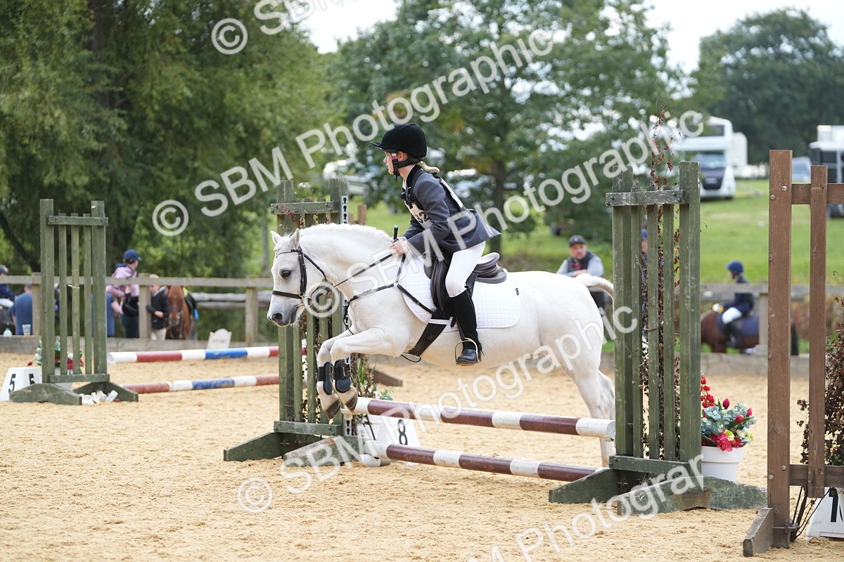 SBM_74782 - J4 - Mini Tour Junior Pony 45cm Championship