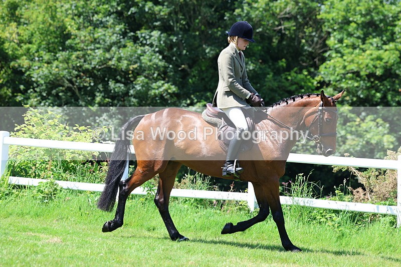3E7A7156 - Class 30: Novice Working Hunter