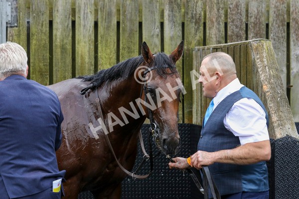 210824-Race 2-The Lion In Winter-7226 - Race 2 2.25pm Tattersalls Acomb Stakes